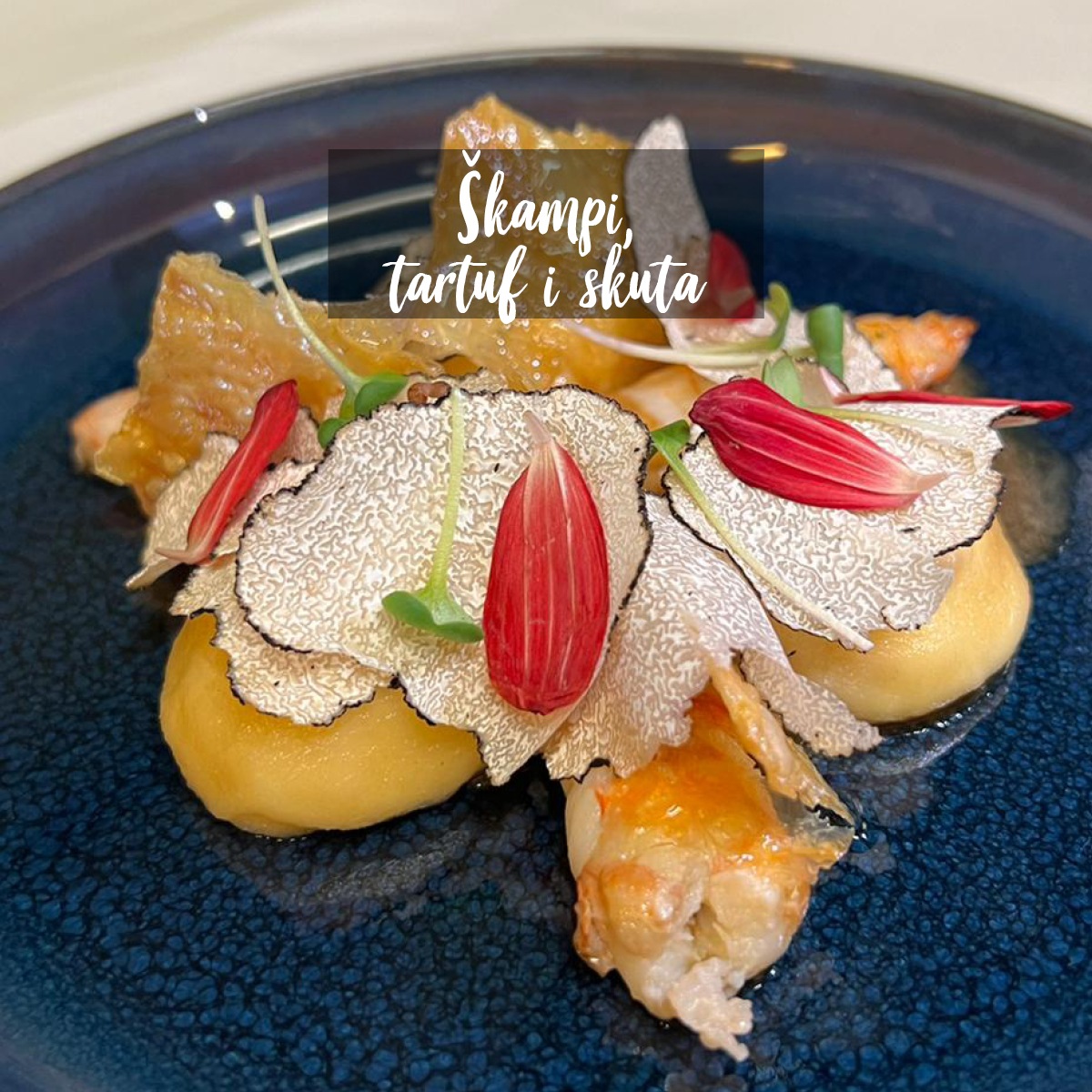 Škampi, tartuf i skuta 