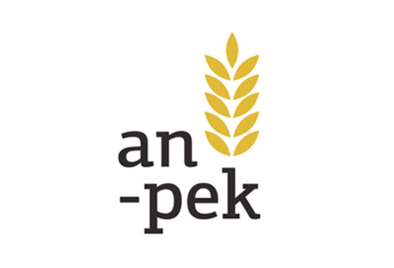Anpek logo