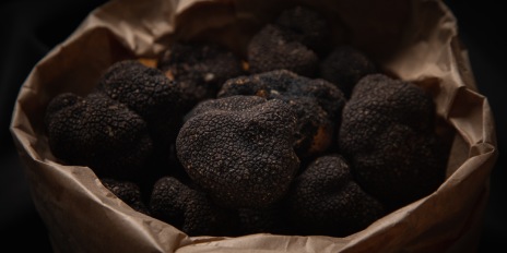 premium tartufi teaser