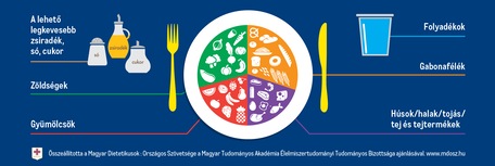 Okostányér