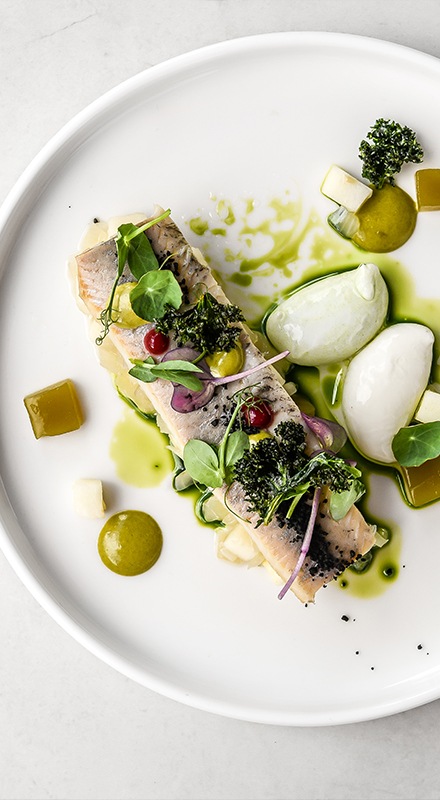 Tengeri halak, modern mártások és köretek