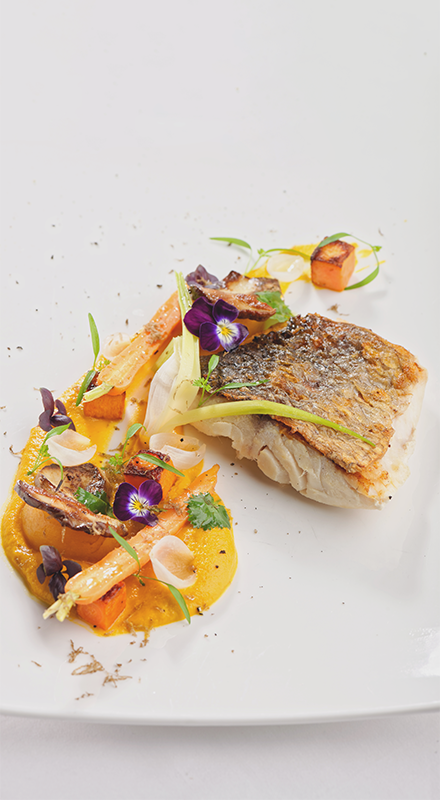 Hazai halak a vákuum alatt