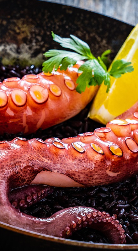 Polip és tintahal ételek