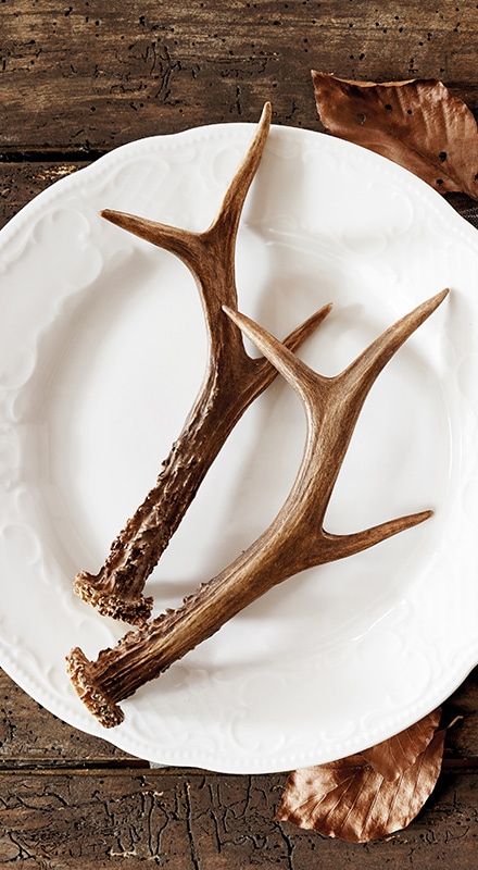 Vadhúsok, nagyvadak