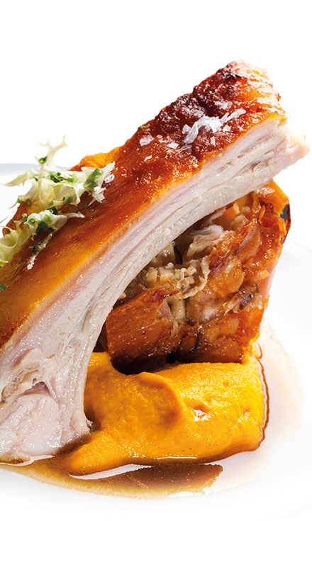 Malac orrától a farkáig