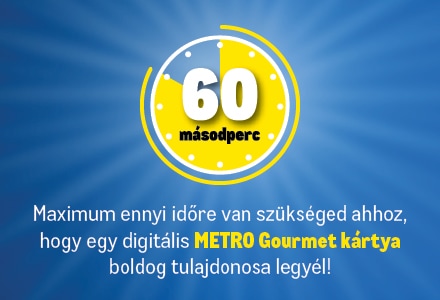 METRO Companion