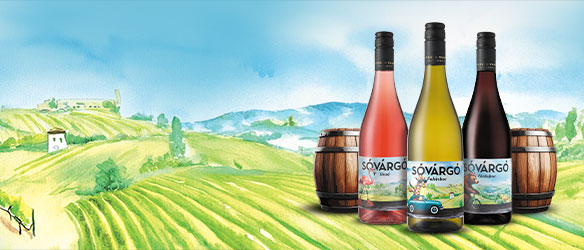 Ismerd meg az Év Borait!