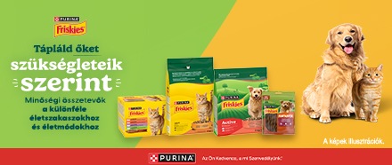 Friskies