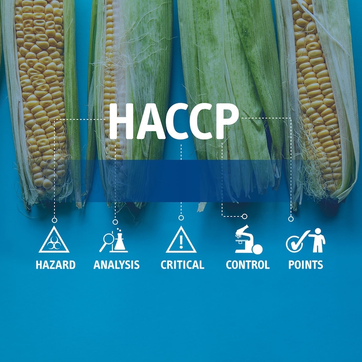 HACCP alapelvek