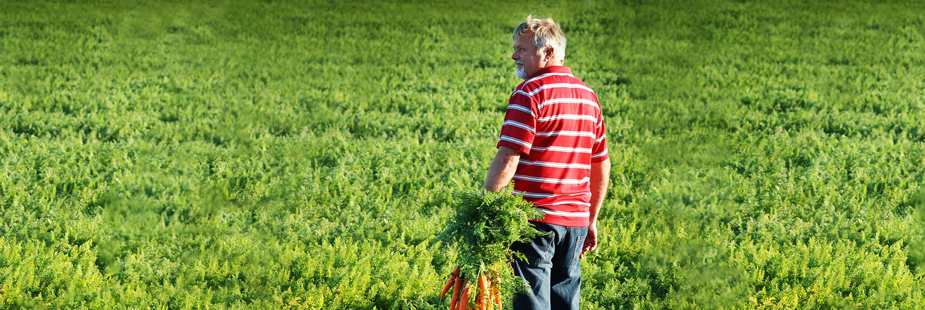 Köszönjük a jelentkezést!