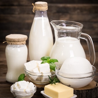 Dairy Products at METRO Wholesale India