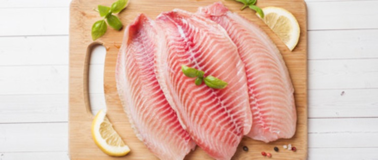 Imported Tilapia Fillets at METRO Wholesale India