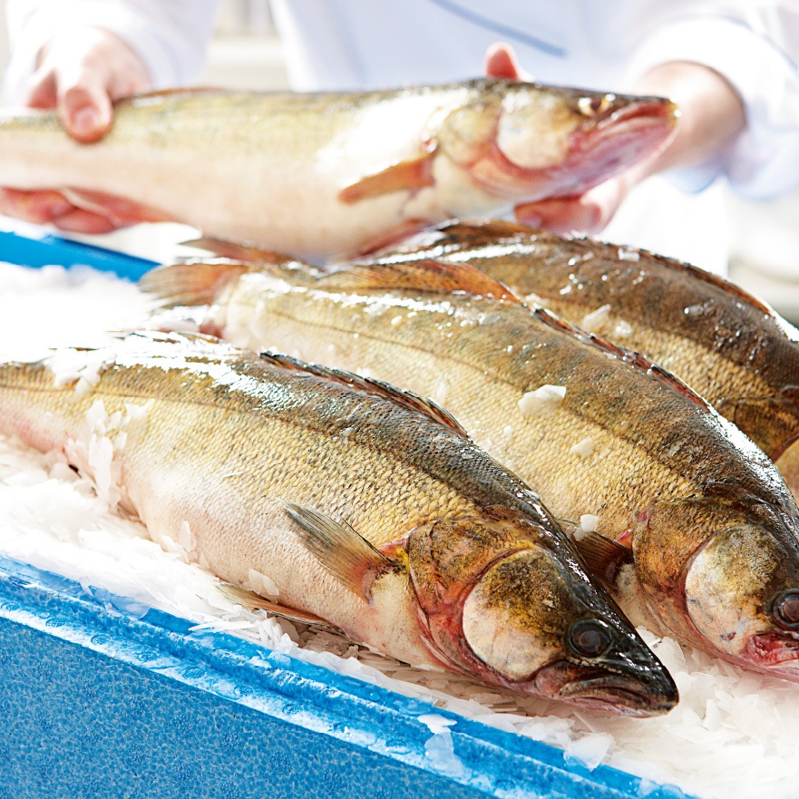 Garanzia di provenienza dei prodotti