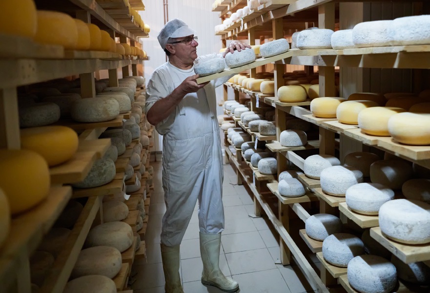 legame con il territorio