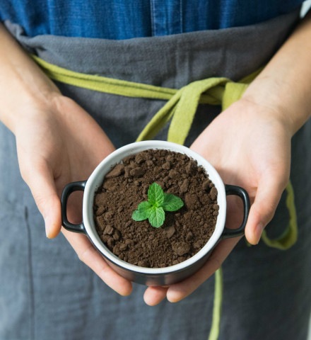 Ultime tendenze: attrezzature per il catering ecosostenibili