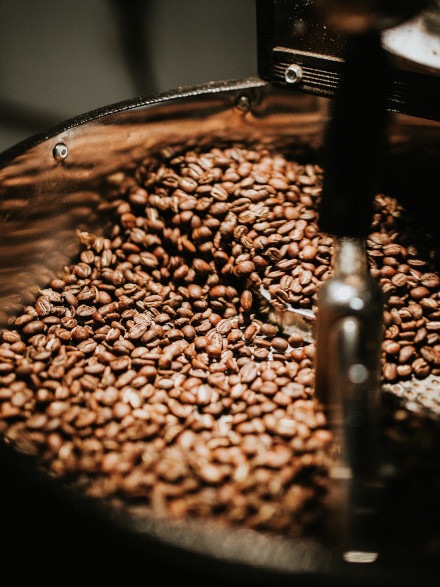 Fornitore di caffè in grani