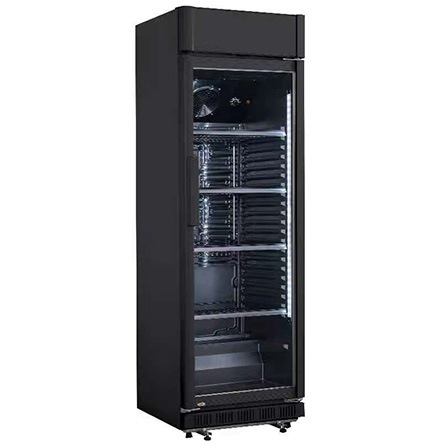 fridge worth 699 (flash offer)