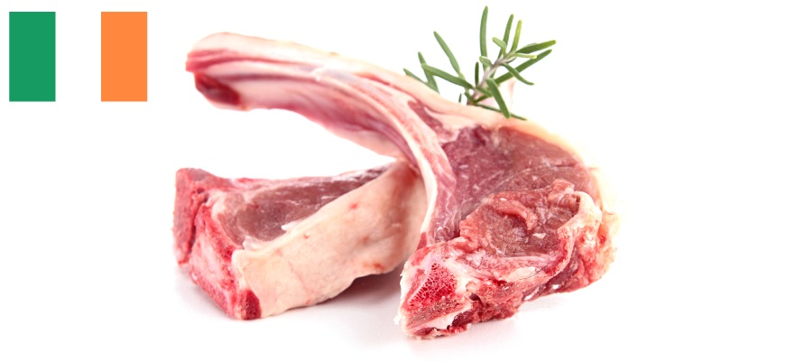 agnello irlandese