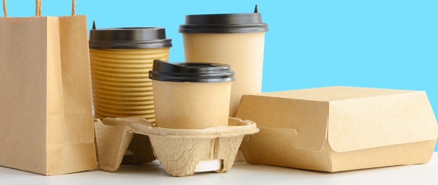 disposable food delivery