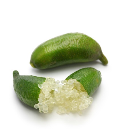 finger lime