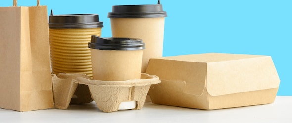 disposable food delivery disposable food delivery