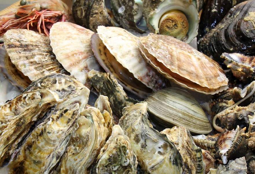 pesce fresco - frutti di mare