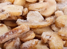 champignon champignon