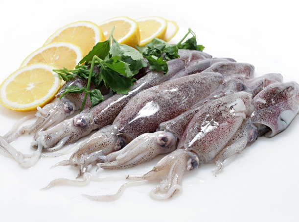 calamari