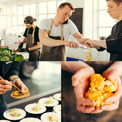 principi - noi lavoriamo per elliott