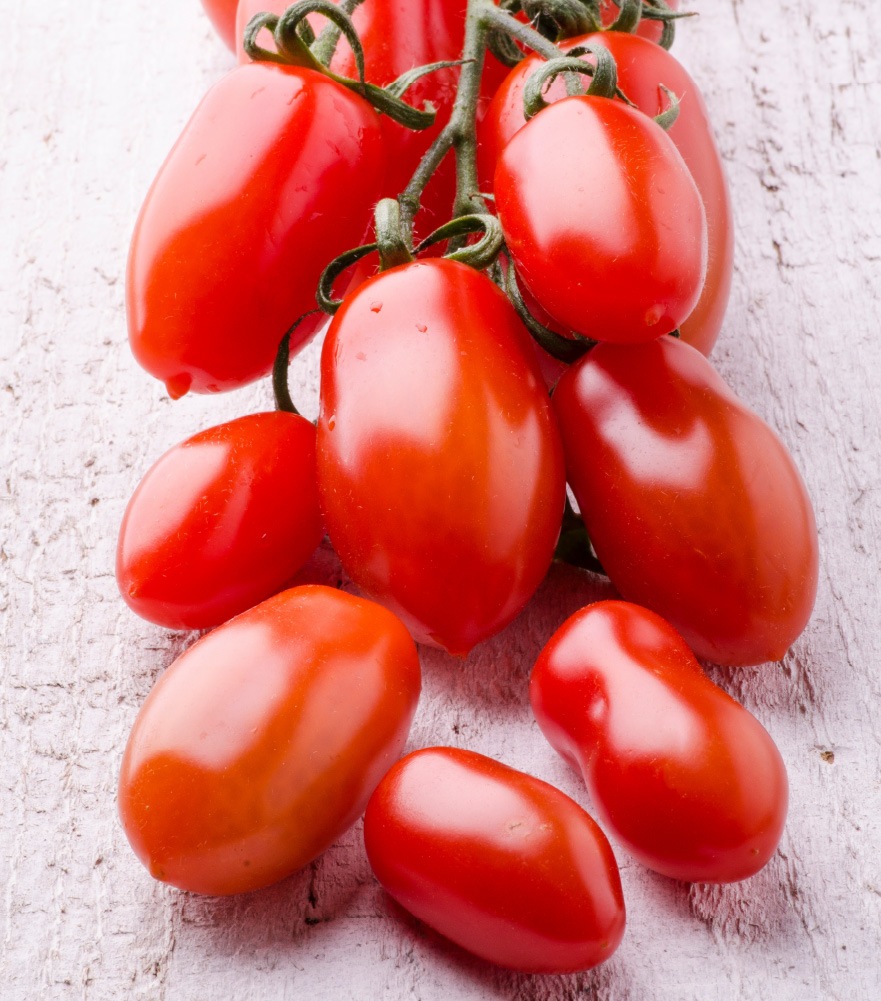 pomodori gourmet - pizzeria