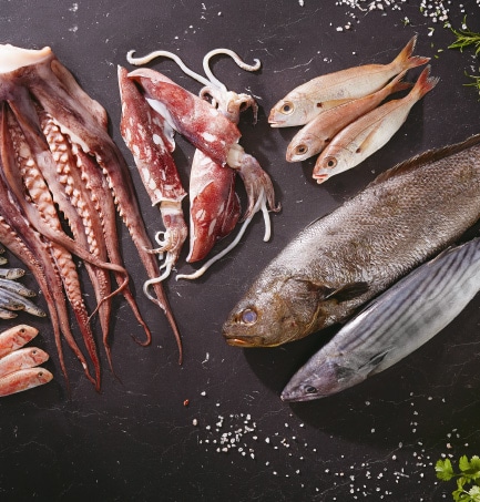 pesce - welcome pack, ristorante