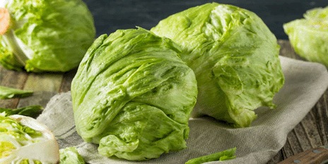 salata Iceberg