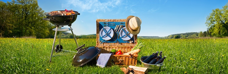 Picnic
