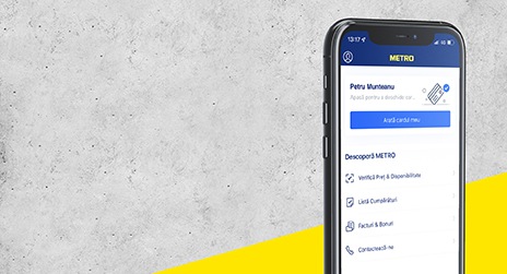 aplicatia metro companion