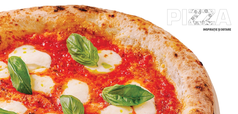 descoperă catalogul pizza soluții complete