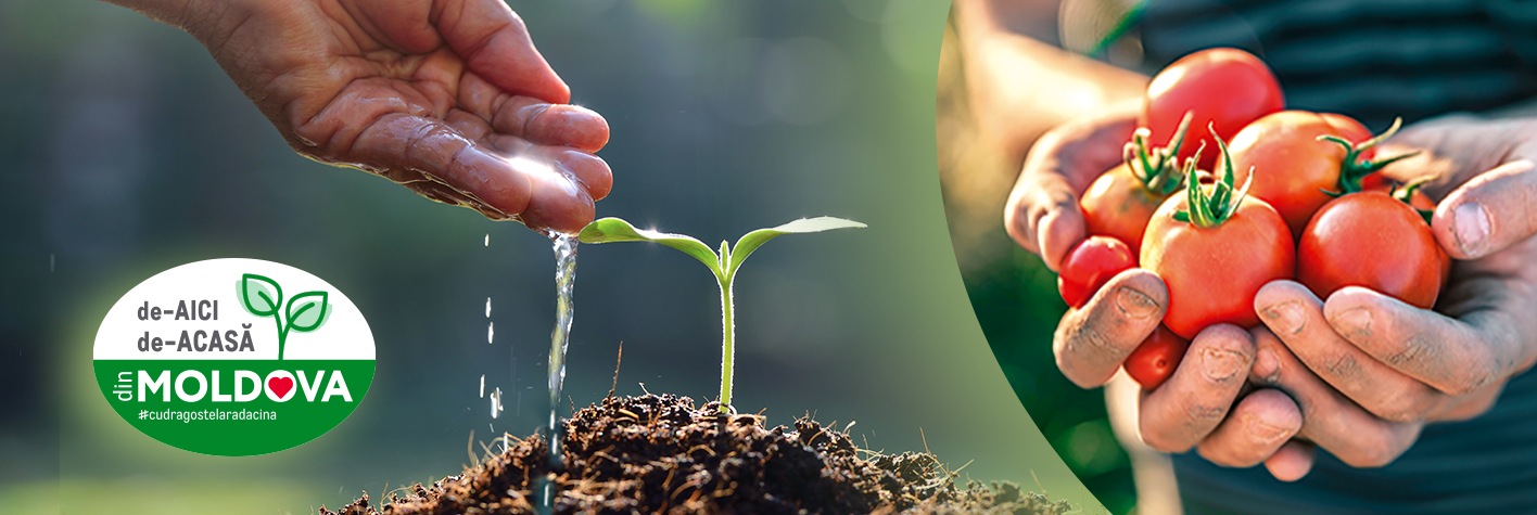 Sustine producatorul local