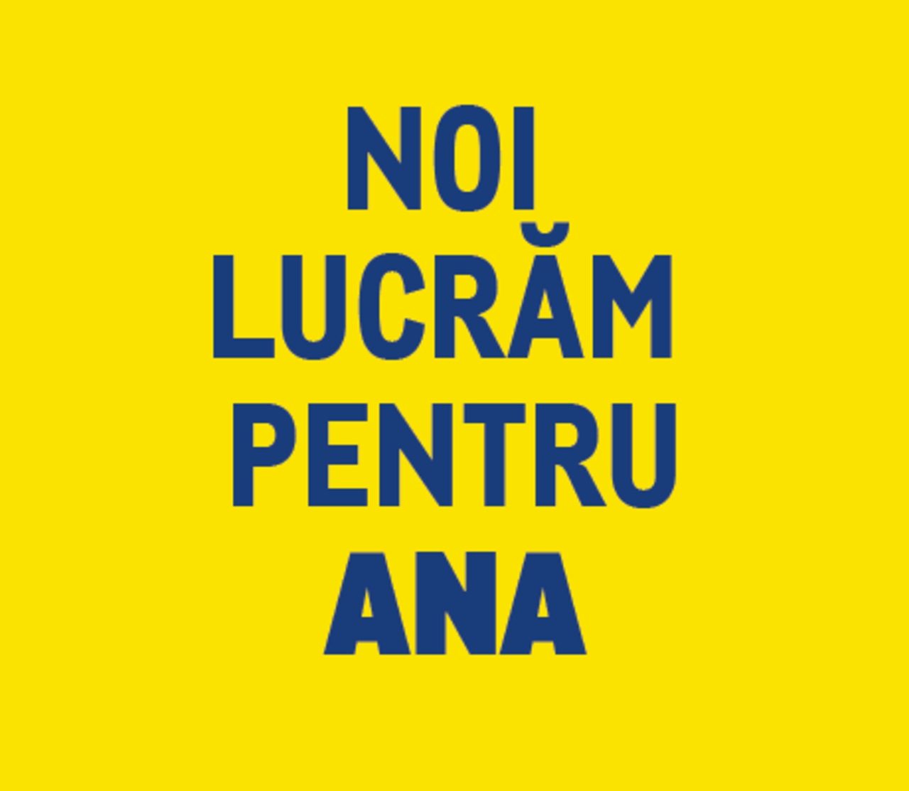 noi lucram pentru tine - afacerea anei