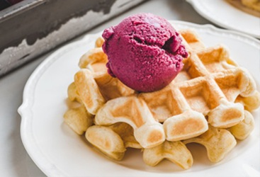 sorbet vegan