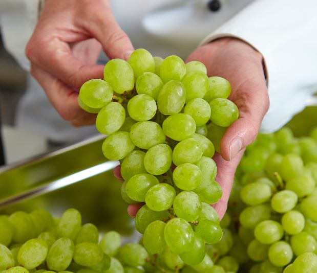 Struguri de masa - fructe moldova