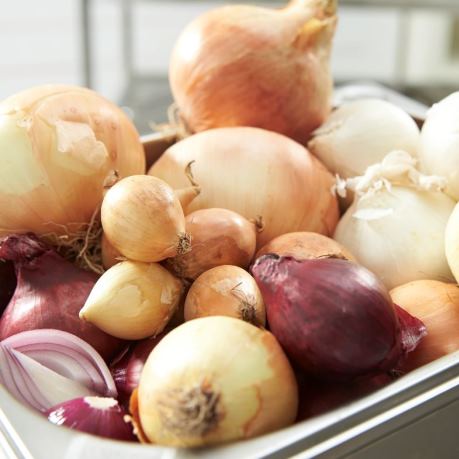 Ceapa proaspata vrac - ceapa alba, ceapa rosie
