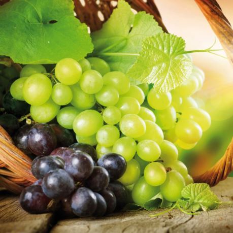 Struguri albi si rosii Moldova