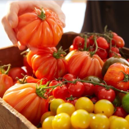 Tomate de diferite soiuri Moldova