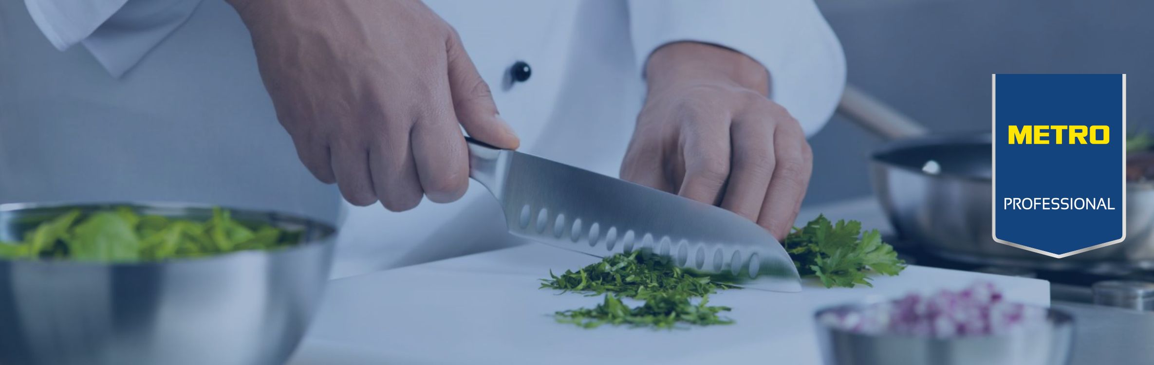 metro professional produse proprii pentru restaurante gastronomie