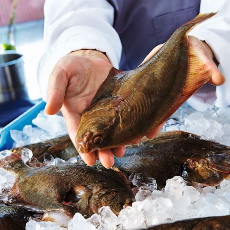 Cambula pe gheata metro peste oceanic 