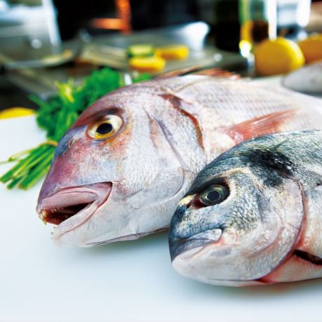 Dorada pret moldova metro - peste oceanic ieftin