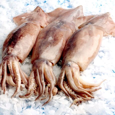 Calmari proaspeti pe gheata - fructe de mare moldova metro