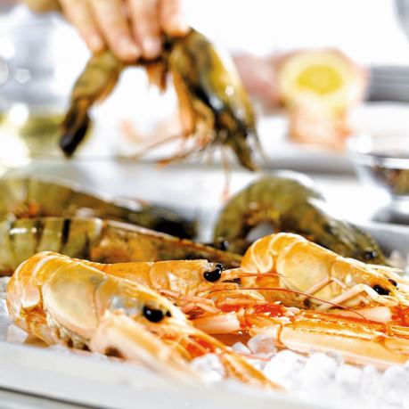 Creveti intregi proaspeti pe gheata fructe de mare moldova 