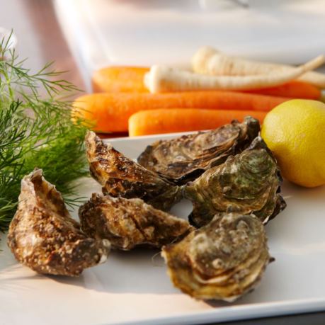 Stridii pe platou - fructe de mare langa legume - morcovi, lamai, verdeata