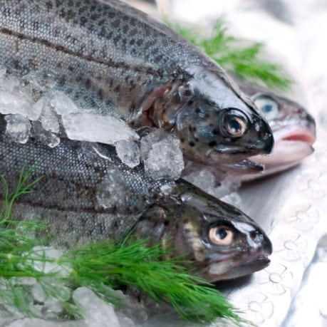 Carp proaspat pe gheata - pesti de vanzare metro