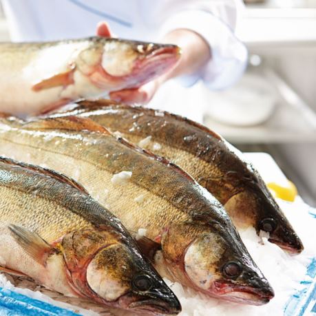 Salau pesti de vanzare magazine metro